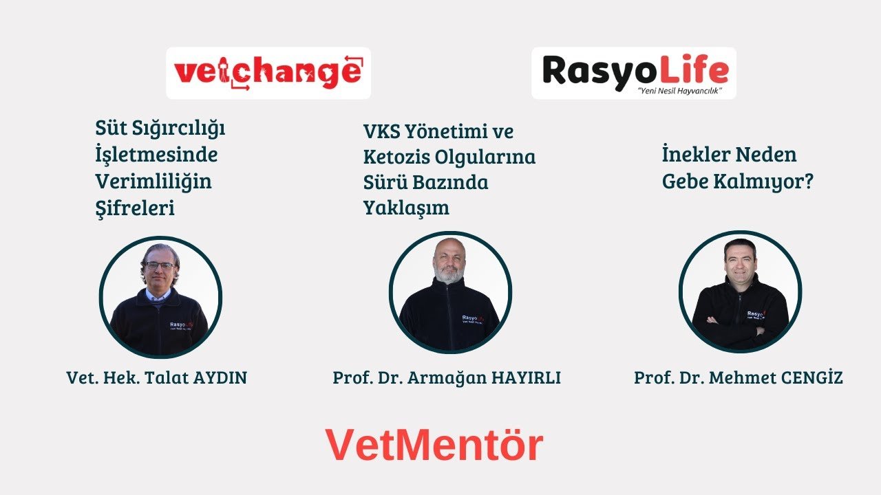 Sürü Hekimliği VetMentör Eğitimi - Vetchange/Rasyolife